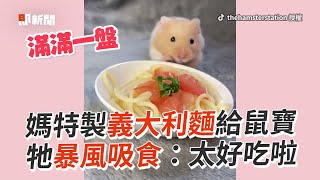 鼠寶享受各式特製手工料理！暴風吸入超美味❤️｜寵物動物｜黃金鼠｜寵物鼠｜精選影片