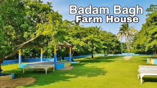 Beautiful Farm house | Badam bagh Farm house | Gadap