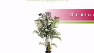 5 foot Silk Areca Palm Tree: Potted - artificialplantsandtrees.com