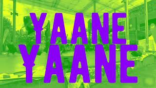 Yaane Yaane | Rakshita Suresh & A R Rahman | Mimi | Kusu Kusu Outro | Zahrah S | Bollywood Bandwagon