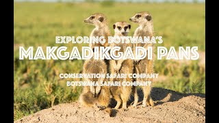 Makgadikgadi Pans - Botswana Safari Company