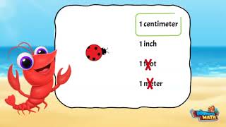 Estimate Length | 2nd Grade Math