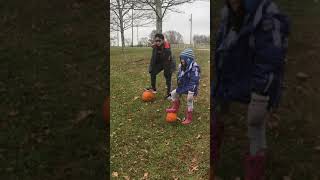 Pumpkin Rolling