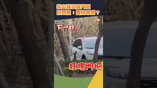 【動物】柴山猴狂搖門把 民眾驚：要偷車嗎？