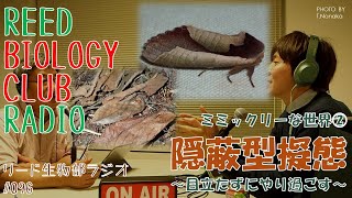 隠蔽型擬態 ～目立たずにやり過ごす～ ミミックリーな世界②【リード生物部ラジオ#096】