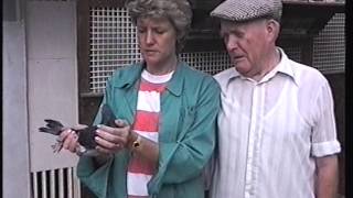 Video 97: Terry \u0026 Karen Haley of Watford: Premier Pigeon Racers