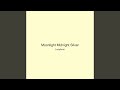 Moonlight Midnight Silver