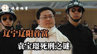 辽宁辽阳首富案，袁宝璟：“我不服， 我要检举高官！”被短暂叫停后， 亿万富豪被执行死刑