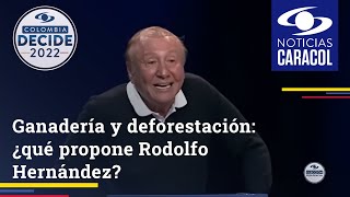 Ganadería y deforestación: ¿qué propone Rodolfo Hernández?