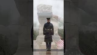 Saluting Our Heroes This Memorial Day
