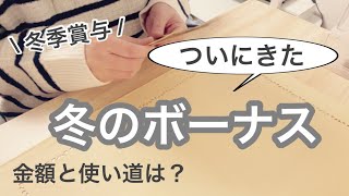 【給料日ルーティン】待ちに待った冬のボーナス支給額公開 / 低収入 / 夫のボーナス振り分け / 家計管理 / 3人家族 【 ボーナスルーティン 】