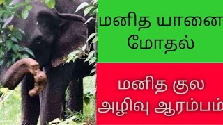 Human -- elephant conflict in India |||||மனித யானை மோதல்களை தவிர்ப்பது