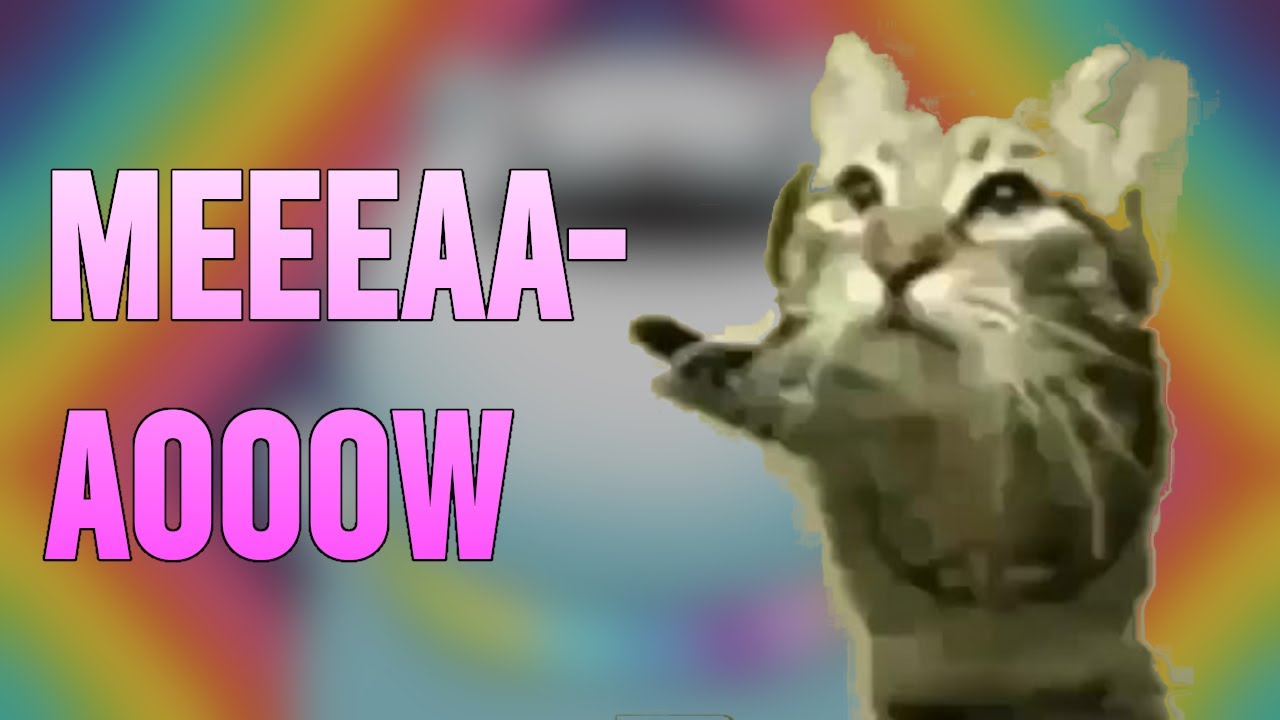 Eeeaaaooo Meowsynth Youtube