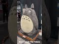 Don’t touch Totoro, the photo op line was insane. #myneighbortotoro #photoop #totoro #anime