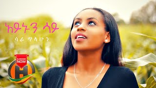 Sara Tilahun - Aynun Say | አይኑን ሳይ - New Ethiopian Music 2020 (Official Video)