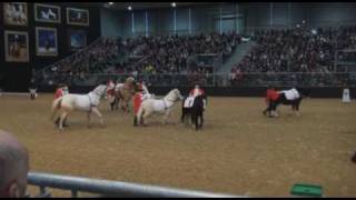 Pferd \u0026 Jagd  die Kinder am langen Zuegel  beim Barock- Show- Cup