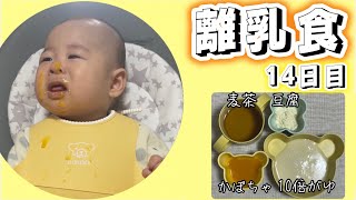 離乳食14日目【生後5ヶ月】【離乳食初期】