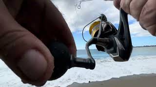 Surf Perch Fishing 2025 with no Commentary and Continuous Footage