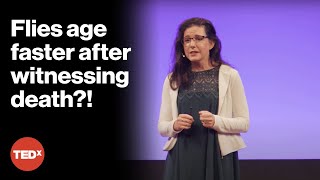 Do our sensory experiences affect how we age? | Christi Gendron, PhD | TEDxJacksonville