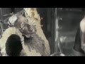 Lady Gaga ft Lana Del Rey- You and i Video Games