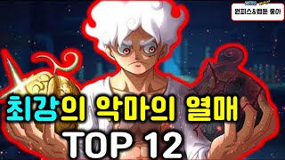 원피스 최강의 악마의 열매 순위 TOP 12 총정리! (시리즈 1)