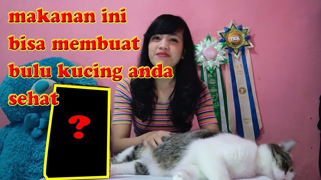 Review Makanan Pureluxe Youtube