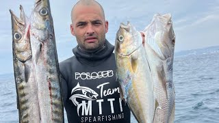 CHASSE SOUS MARINE dernier coup de palmes sur Marseille 💥