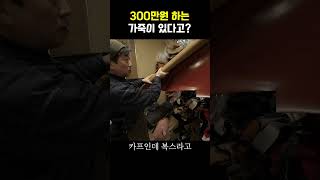 300만원 하는 가죽이 있다고? 바로바로 악어가죽!! 가죽에 대한 더 흥미로운 영상은 취미에 미취다 풀 영상에서 확인하세요🧡🐊