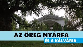 Kőkálvária és százéves fekete nyár - Szigetközi kalandozások / Kurtavlog #17