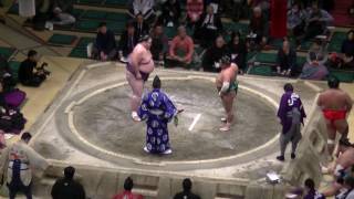 旭日松-天風/大相撲.2017.1.19(38)/asahisho-amakaze/day12 #sumo