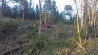 Järnhästen Essence lunning