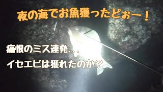 夜の海の素潜り漁「お魚獲ったどぉーーー！」