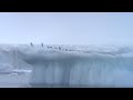 Impact of massive iceberg that broke off Antarctica