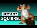 How to Pronounce SQUIRREL| English Pronunciation