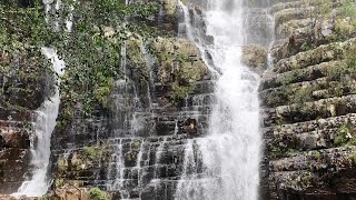 Drive to Talakona Falls and Stay in Forest Guest House