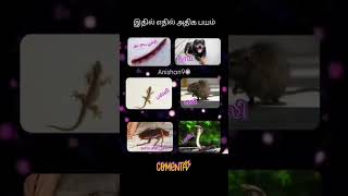 😳இதில் எதுஅதிக பயம் #yotubeshorts #tamilmemes #trendingshorts #funny