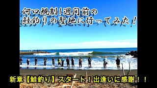 新章【鮭釣り】！河口規制1週間前の道南鮭釣り聖地！