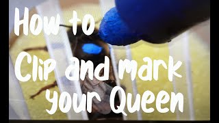 How To Clip And Mark A Queen - the easy way!