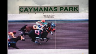 JAMAICA RACING: Noa Li, Blade Dead-Heaters In Sat, Sept 23, 2023, eighth