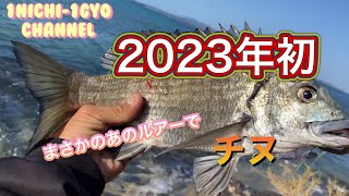 『1日1魚チャンネル』2023年初チヌは有名YouTuberさんがよく使うシンペンで！#沖縄ルアー釣り #ライトゲーム #チヌ