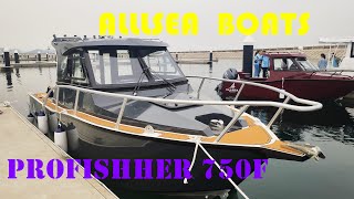 ALLSEA BOATS Profisher750F,25ft streamlined design leisure and entertainment boat