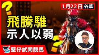 【堅仔試閘靚馬】(1月22日) 飛騰騅 示人以弱​​​​​​​​​​​​​​​​​​｜星期三谷草夜賽 1月22賽日開班，現正火速報名｜#賽馬｜ #賽馬貼士​​​​​​​｜#賽馬賠率