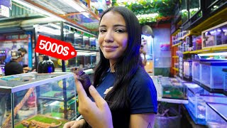 Los reptiles mas Caros  del mercado de los peces mixiuhca con todo i precios