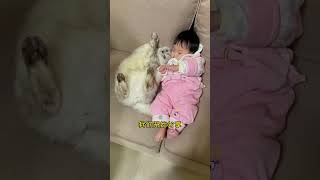 Cat and Baby  你们现在究竟是喜欢十八，还是喜欢十八抢我女儿？🤣🐱#shorts #cat #catandbaby