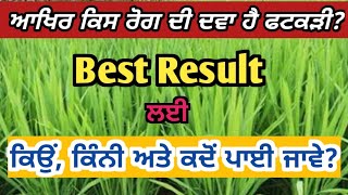 ਝੋਨੇ ਚ ਅੰਨ੍ਹੇਵਾਹ ਨਾ ਪਾਓ ਫਟਕੜੀ, ਹੋ ਸਕਦੈ ਵੱਡਾ ਨੁਕਸਾਨ! Jhone Ch Na Pao Fatkadi Di Overdose