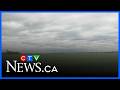 Mixed reaction from farmers as heavy rain hits Lethbridge region