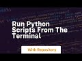 run python scripts from the terminal