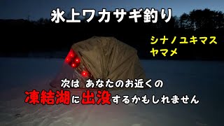 【氷上ワカサギ釣り】オーム出没注意！ （風の谷のナウシカ）2023年2月16日 シナノユキマスが釣れる湖