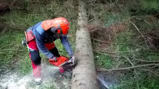 Tree Cutting with Husqvarna 562 XP Chain Saw COMPLETE VIDEO