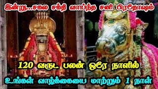 இன்று சகல சக்தி வாய்ந்த சனி பிரதோஷம் ! 120 வருட பலன் ஒரே நாளில் ! உங்கள் வாழ்க்கைய மாற்றும் 1 நாள் !